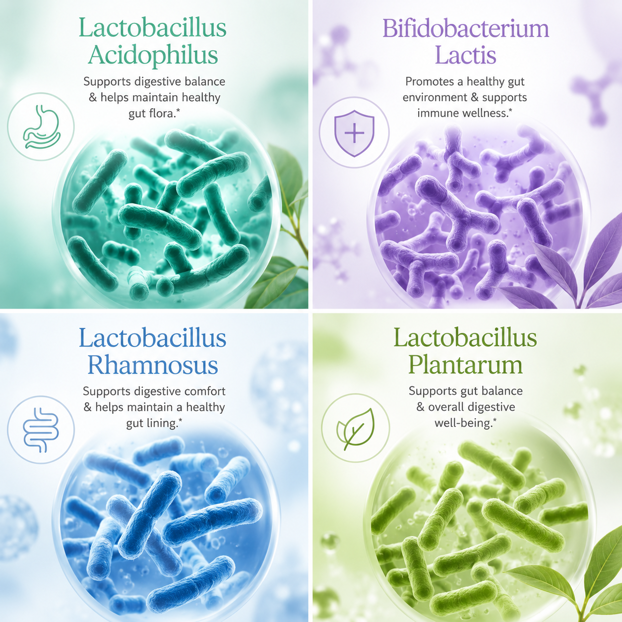 GutBiotix™ Probiotic & Prebiotic